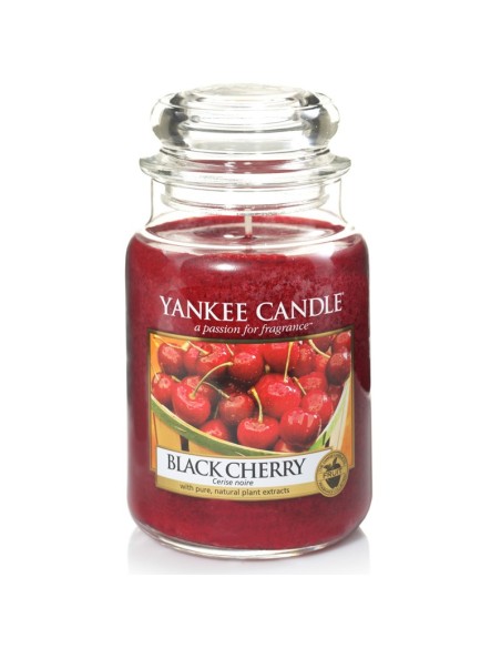 Candela In Giara Grande Black Cherry