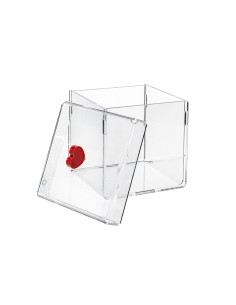 Lovia Box Small Rosso 17,5x17,5x20h cm 2