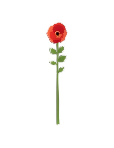 Vesta Home - Fiore Papavero Grande Kit 6 Pz Funny Flowers·rosso·12 X 55 H Th. 5 Mm