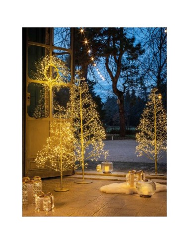 Lanterna Piccola con Led Sentieri di Luce Ø20,5x21h cm