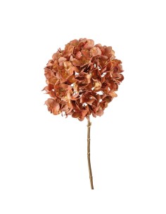 Fiore 8 Poesia in Petali 68h cm
