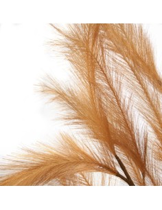 Pampas Bronzo 113h 2