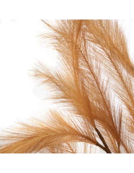 Pampas Bronzo 113h