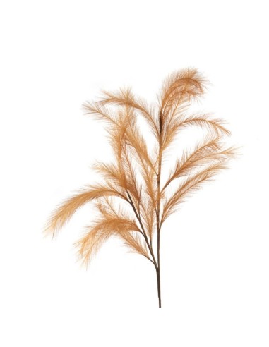 Pampas Bronzo 113h