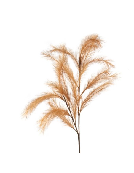 Pampas Bronzo 113h