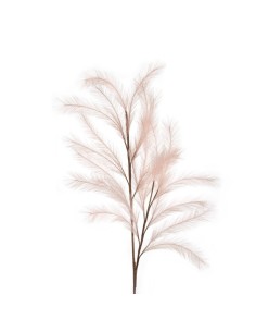Pampas Rosa 113h