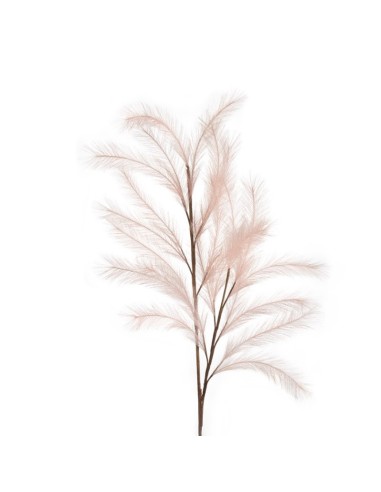 Pampas Rosa 113h