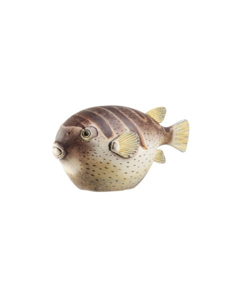 Pesce Palla Colomesus Decorativo 25x12x13h