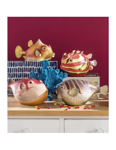 Pesce Palla Colomesus Decorativo 25x12x13h