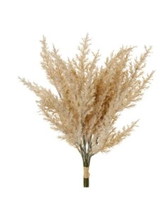 Ginepro naturale