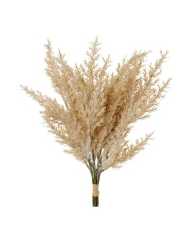 Ginepro naturale