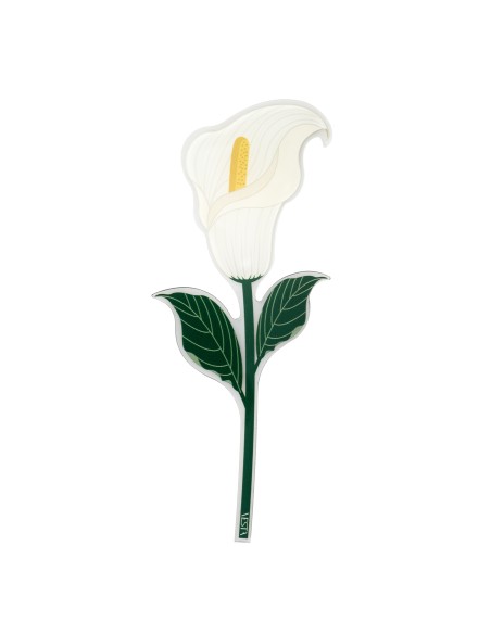 Vesta Home - Bomboniera - Calla Kit 6 Pz·bianco·8,6 X 20,4 H Cm Th. 3 Mm