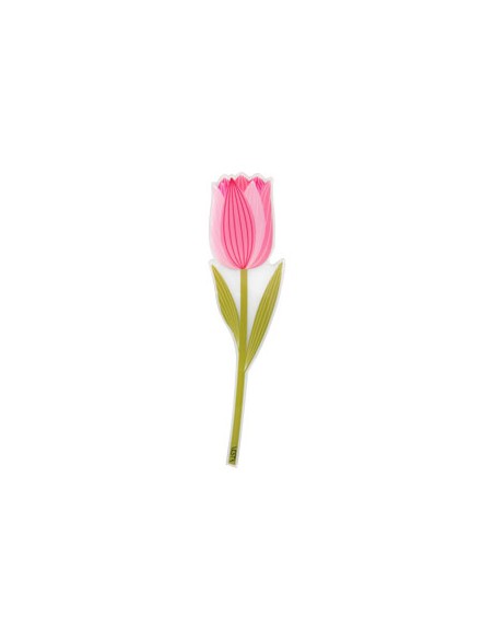 Vesta Home - Bomboniera - Tulipano Kit 6 Pz·rosa·5,3 X 20,5 H Cm Th. 3 Mm
