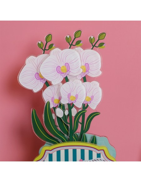 Vesta Home - Fiore Orchidea Piccola Kit 6 Pz Funny Flowers·bianco·9,8 X 46 H Cm Th. 5 Mm
