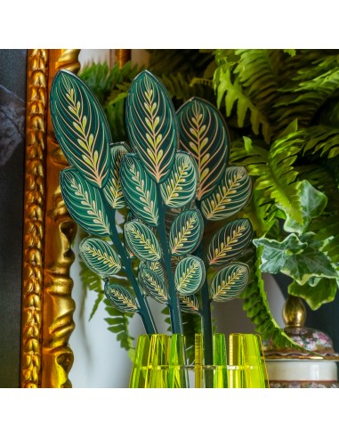 Vesta Home - Foglia Calathea Grande Kit 6 Pz Funny Flowers·verde·12 X 57,8 H Cm Th. 5 Mm