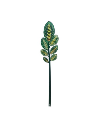 Vesta Home - Foglia Calathea Grande Kit 6 Pz Funny Flowers·verde·12 X 57,8 H Cm Th. 5 Mm