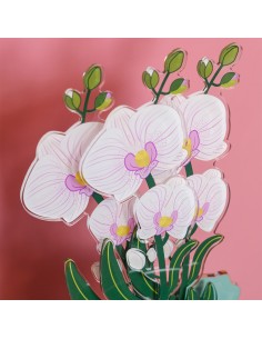 Vesta Home - Fiore Orchidea Grande Kit 6 Pz Funni Flowers·bianco·12 X 59,5 H Cm Th. 5 Mm 2