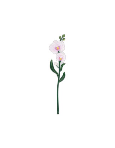 Vesta Home - Fiore Orchidea Grande Kit 6 Pz Funni Flowers·bianco·12 X 59,5 H Cm Th. 5 Mm