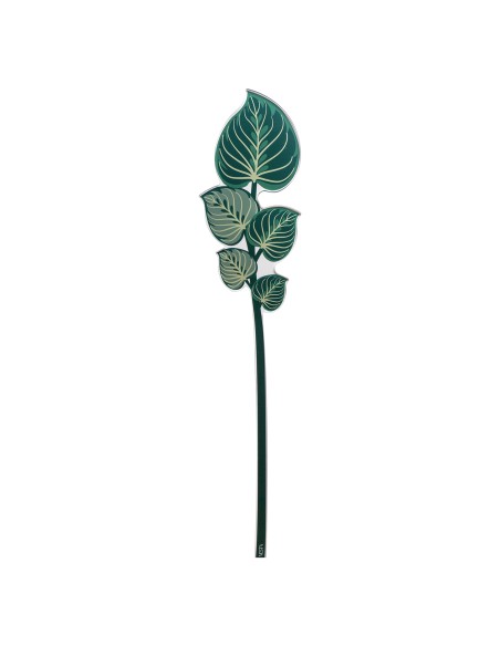Vesta Home - Foglia Maranta Piccola Kit 6 Pz Funny Flowers·verde·10 X 47,4 H Cm Th. 5 Mm