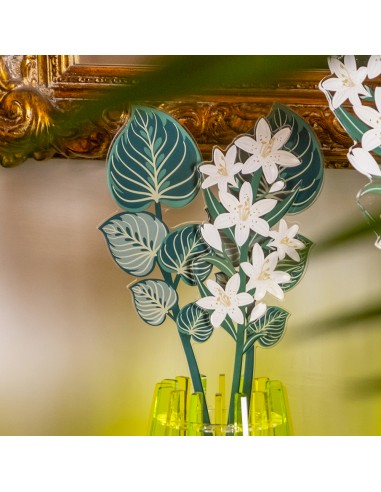 Vesta Home - Foglia Maranta Piccola Kit 6 Pz Funny Flowers·verde·10 X 47,4 H Cm Th. 5 Mm
