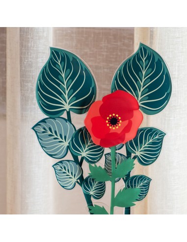 Vesta Home - Foglia Maranta Piccola Kit 6 Pz Funny Flowers·verde·10 X 47,4 H Cm Th. 5 Mm
