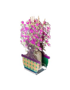 Vesta Home - Profumatore Bonsai Magnolia Piccolo·viola·12,8 X 7,5 X 22 H Cm Th. 3 Mm
