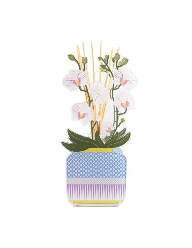 Vesta Home - Profumatore Livinia Grande - Orchidea·bianco·17,5 X 9,5 X 33 H Th. 3 Mm