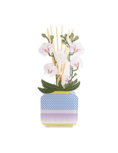 Vesta Home - Profumatore Livinia Piccolo - Orchidea·bianco·11 X 7,5 X 24 H Th. 3 Mm