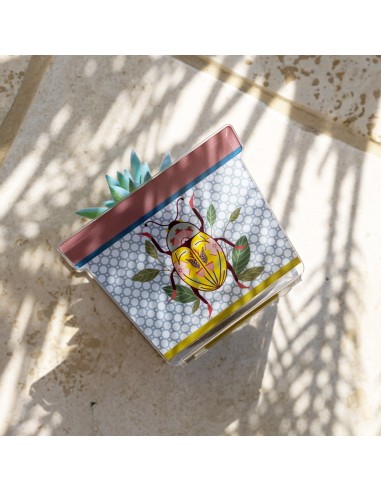 Vesta Home - Portavaso Joy - Special Moments - Kit 6 Pz·scarabeo·10 X 7,1 X 10 H Th. 3 Mm Vase Holder Hole: Ø55 Mm