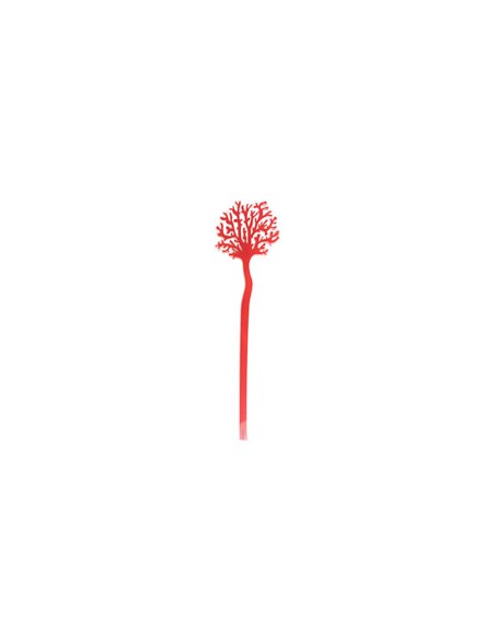 Vesta Home - Funny Ocean Set 6 Coralli Mediterraneo Piccoli Rosso·rosso·10,2 X 37,4 H Th. 5 Mm