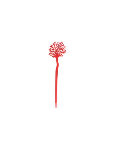 Vesta Home - Corallo del Mediterraneo Grande - Funny Ocean Kit 6 Pz·rosso·12,7 X 56,5 H Th. 5 Mm