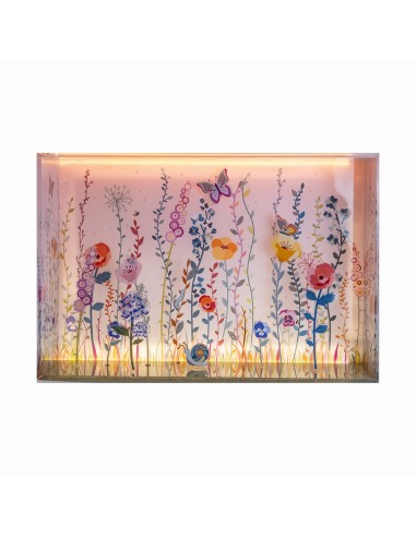 Vesta Home- Box Luminoso 3d Amelie Cm 60 X 16 X 40 H