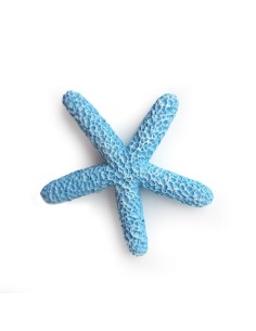 BUSTA 12 STELLE MARINE RESINA BLU 2CM