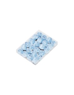 Rosa raso azzurra