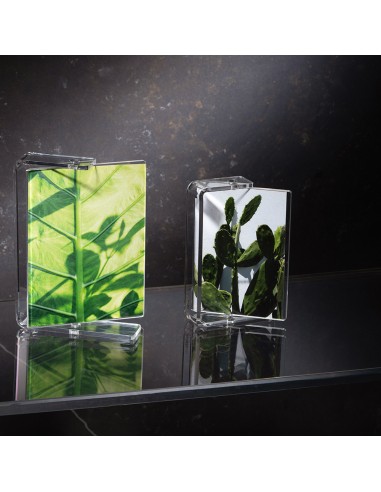 Vesta Home - Portafoto Piccolo Lux·trasparente·11,5 X 3 X 18 H Th. Body 4 Mm Th. Structure 5 Mm