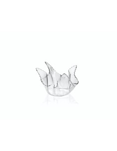 iPLEX Design - ""DRAPPEGGI Vaso Piccolo DAISY"" Trasparente - 21x14x17 cm