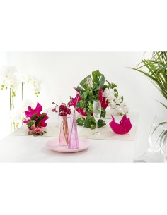 iPLEX Design - ""DRAPPEGGI Vaso SLIM DAISY"" Trasparente - 22x21x22 cm 2