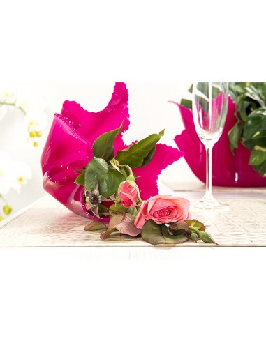 iPLEX Design - ""DRAPPEGGI Vaso SLIM DAISY"" Trasparente - 22x21x22 cm
