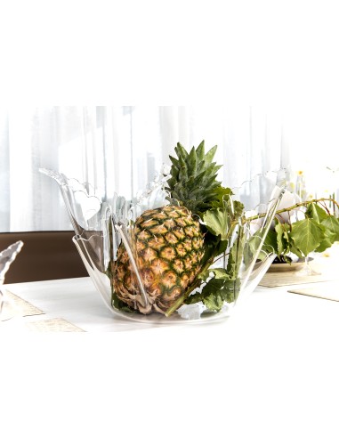 iPLEX Design - ""DRAPPEGGI Vaso DAISY"" Trasparente - 45x29x45 cm