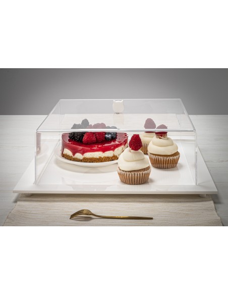 Iplex - Bon Ton Tortiera quadrata in plexiglass Trasparente. , made in Italy - Trasparente/bianco - 36x13,5x36 cm