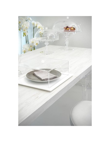 Iplex - Bon Ton Tortiera quadrata in plexiglass Trasparente. , made in Italy - Trasparente/bianco - 36x13,5x36 cm