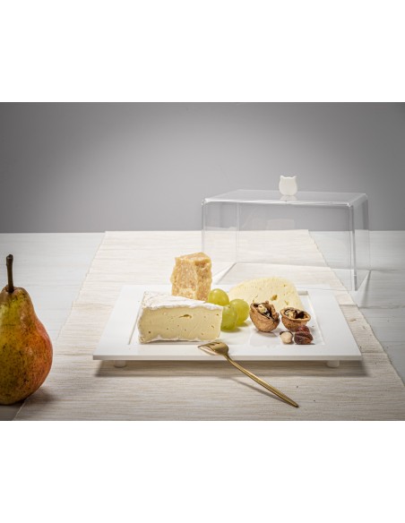 Iplex - Bon Ton Tortiera quadrata in plexiglass Trasparente. , made in Italy - Trasparente/bianco - 25,5x11x25,5 cm