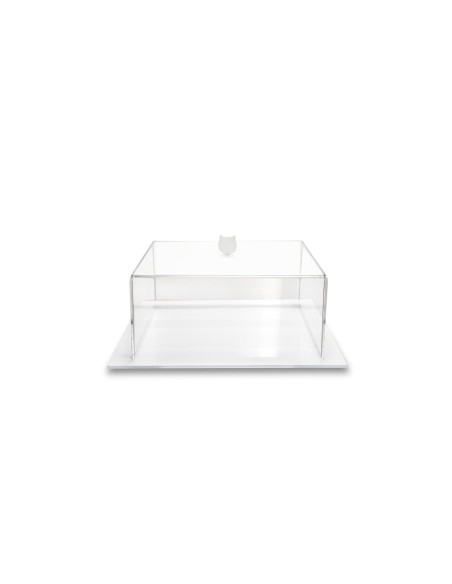 Iplex - Bon Ton Tortiera quadrata in plexiglass Trasparente. , made in Italy - Trasparente/bianco - 25,5x11x25,5 cm