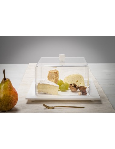 Iplex - Bon Ton Tortiera quadrata in plexiglass Trasparente. , made in Italy - Trasparente/bianco - 25,5x11x25,5 cm