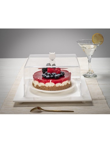 Iplex - Bon Ton Tortiera quadrata in plexiglass Trasparente. , made in Italy - Trasparente/bianco - 25,5x11x25,5 cm