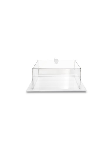 Iplex - Bon Ton Tortiera quadrata in plexiglass Trasparente. , made in Italy - Trasparente/bianco - 25,5x11x25,5 cm