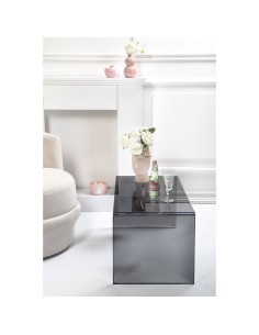 iPLEX Design - Milvio Tavolino Fume' in plexiglass - grigio fumè - 81x36x40 cm 2