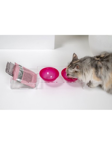 iPLEX Design - I-Pet Porta Ciotole Piccolo Fuxia in plexiglass - Trasparente/ fuxia - 41x6,5x14 cm