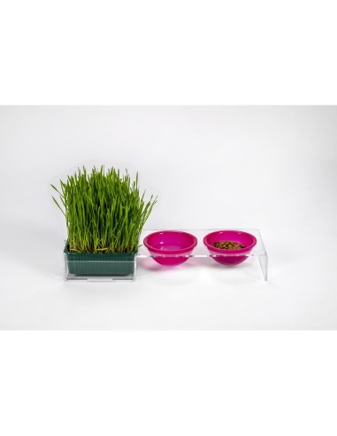 iPLEX Design - I-Pet Porta Ciotole Piccolo Fuxia in plexiglass - Trasparente/ fuxia - 41x6,5x14 cm