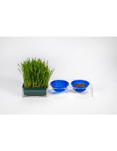 iPLEX Design - I-Pet Porta Ciotole Piccolo Blu in plexiglass - Trasparente/ blu - 41x6,5x14 cm